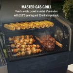 FlexFlame Gas BBQ & Outdoor Cooking System - product image 3