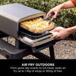 Artisan Electric Outdoor Pizza Oven & Air Fryer - product image 9