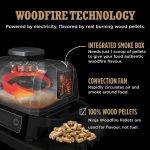 Woodfire Electric BBQ Grill & Smoker - product image 3