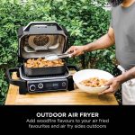 Woodfire Electric BBQ Grill & Smoker - product image 7