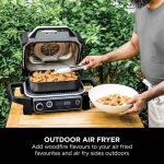 Woodfire Electric BBQ Grill & Smoker with Stand & Cover - product image 5