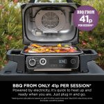 Woodfire Electric BBQ Grill & Smoker - product image 8