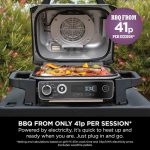 Woodfire Electric BBQ Grill & Smoker with Stand & Cover - product image 6