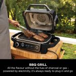 Woodfire Electric BBQ Grill & Smoker with Stand & Cover - product image 7
