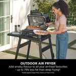 Woodfire Pro XL Electric BBQ Grill & Smoker - product image 8