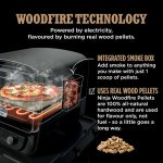 Woodfire Electric Outdoor Oven, Artisan Pizza Maker and BBQ Smoker - product image 4