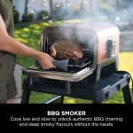 Woodfire Electric Outdoor Oven, Artisan Pizza Maker and BBQ Smoker - product image 10