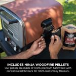 Woodfire Electric Outdoor Oven, Artisan Pizza Maker and BBQ Smoker - product image 13